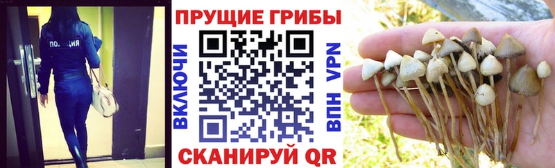 Галлюциногенные грибы MAGIC MUSHROOMS  Оханск 